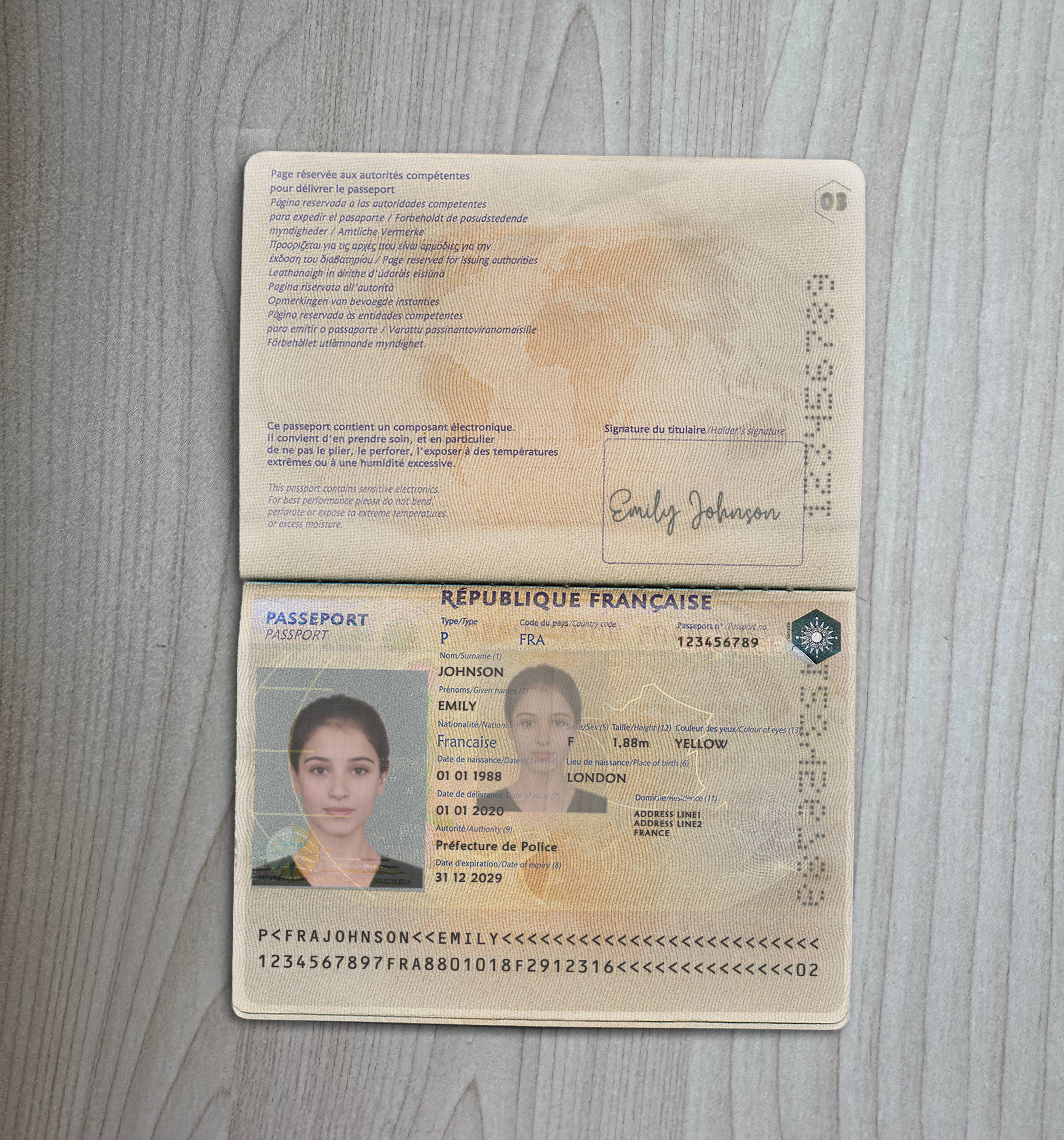 프랑스 여권 미리보기