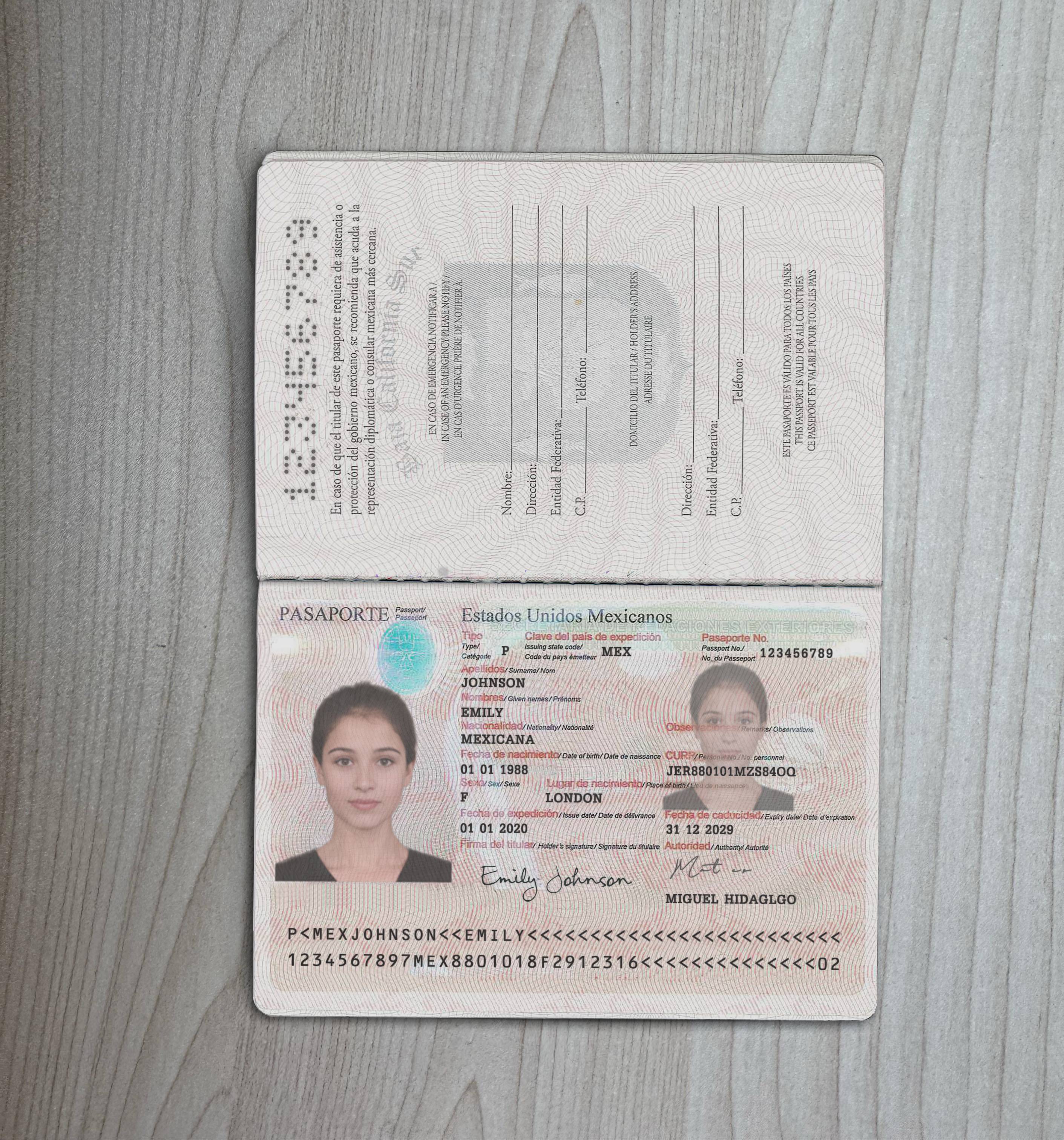 멕시코 여권 미리보기