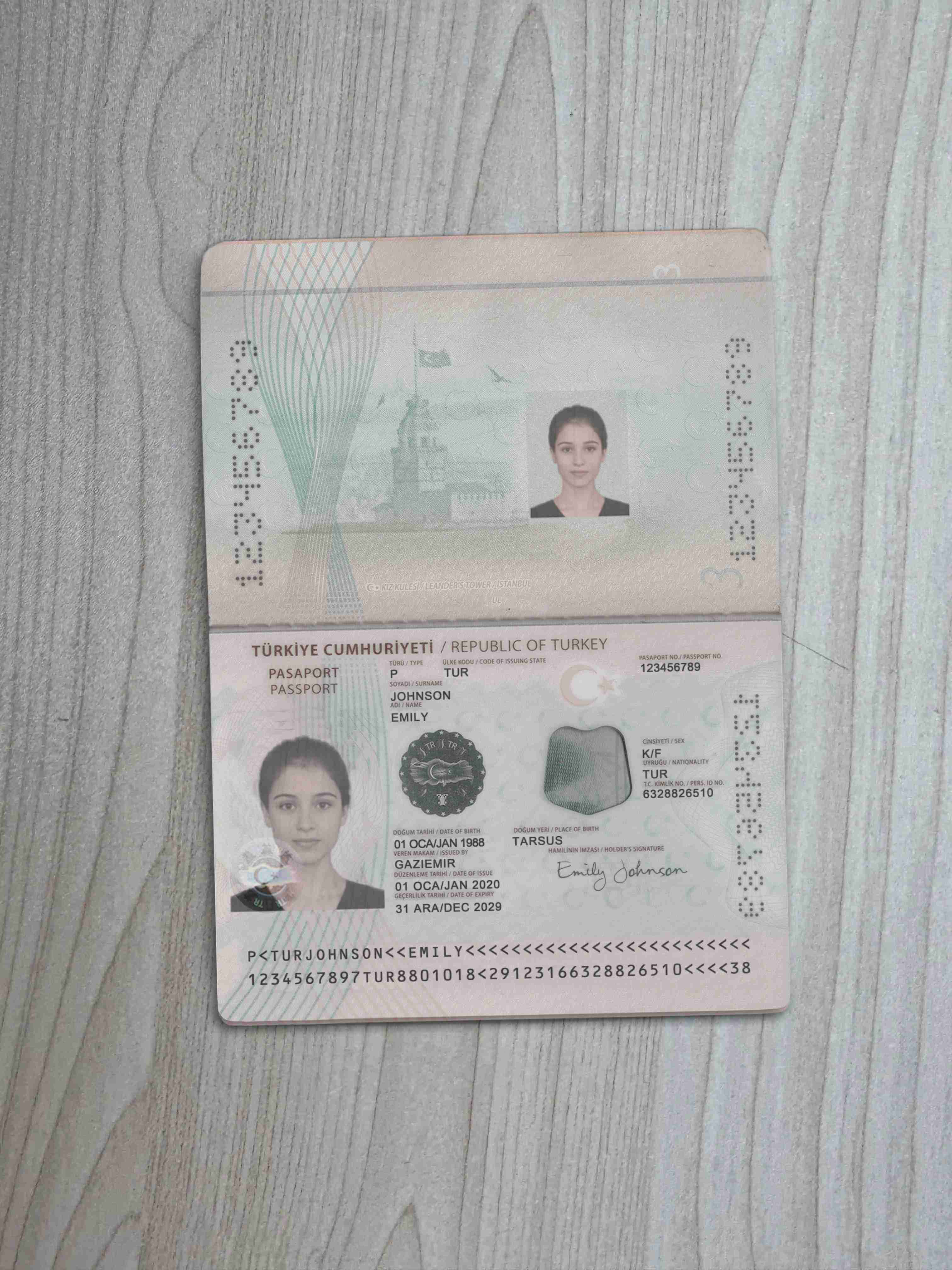 Turkey Passport Preview
