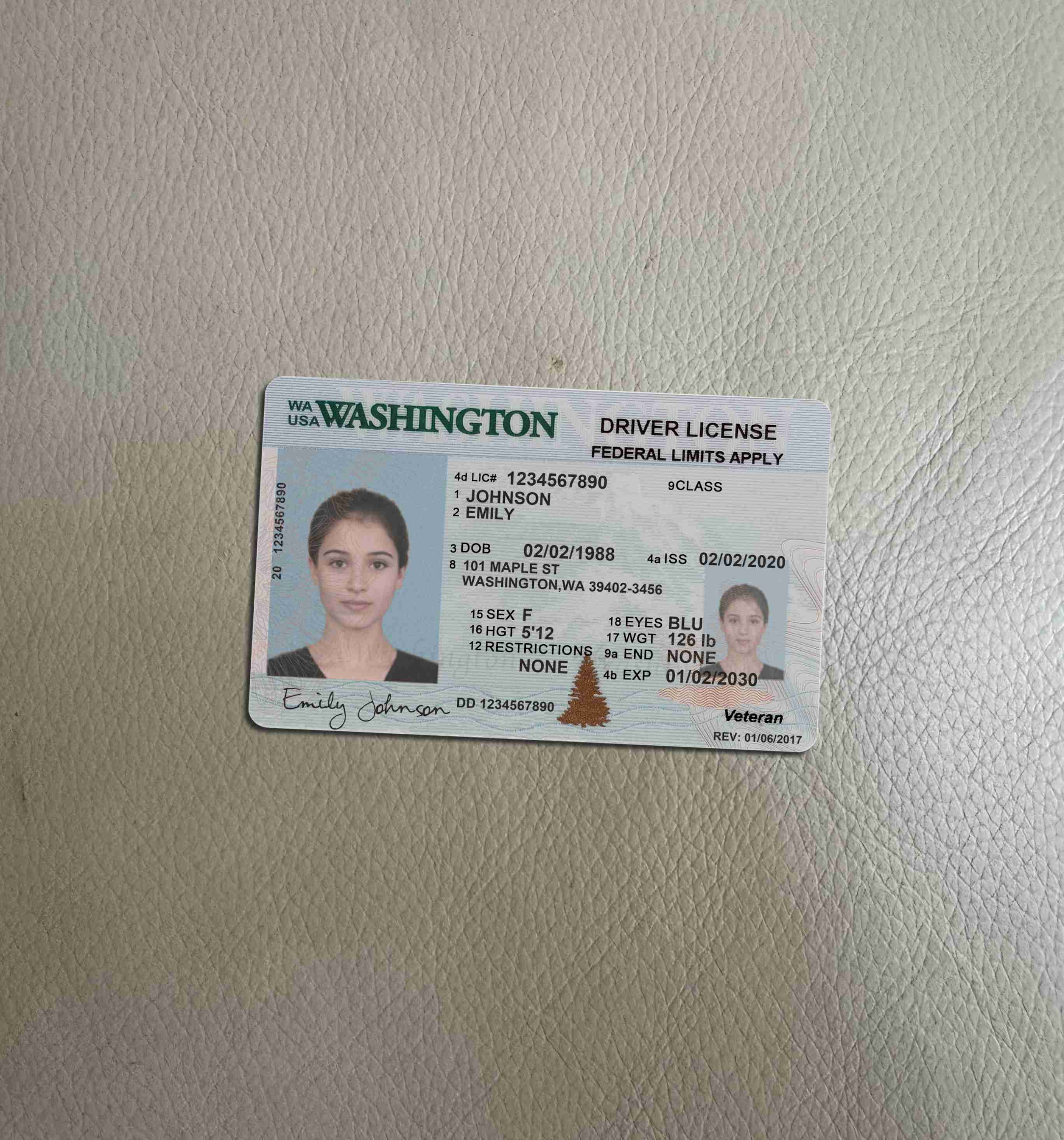 华盛顿州驾驶证预览